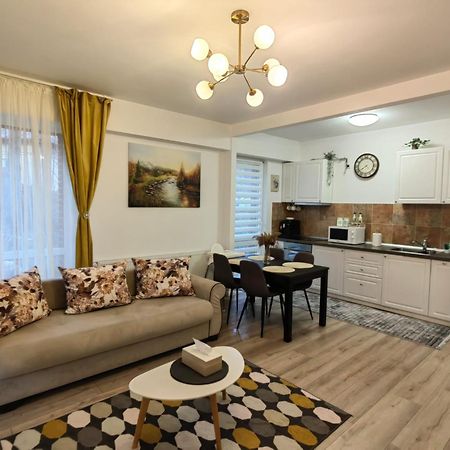 Belleview Family Apartment Σινάια Εξωτερικό φωτογραφία