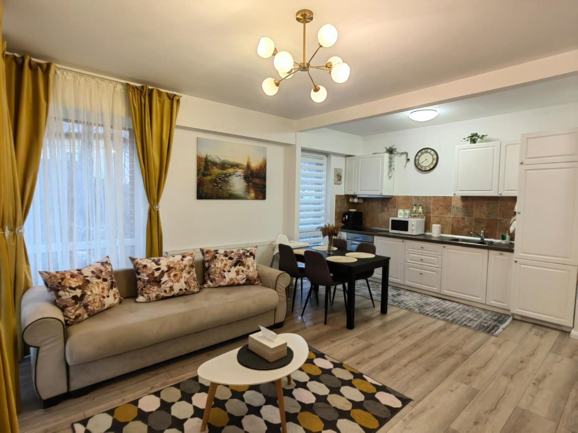 Belleview Family Apartment Σινάια Εξωτερικό φωτογραφία