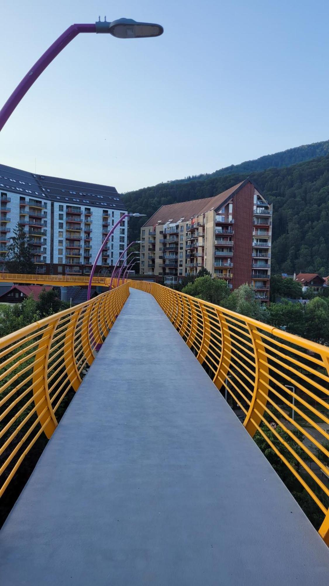 Belleview Family Apartment Σινάια Εξωτερικό φωτογραφία